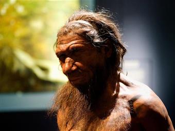 Neandertaller Kimdir? Ne Zaman Yaşamıştır?